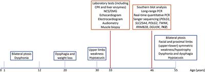 Case Report: Thymidine Kinase 2 (TK2) Deficiency: A Novel Mutation Associated With Childhood-Onset Mitochondrial Myopathy and Atypical Progression